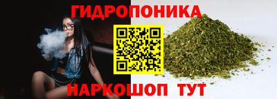 apvp Нарткала
