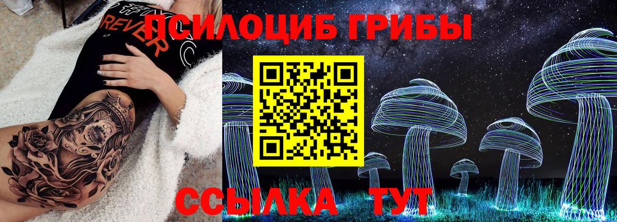 Псилоцибиновые грибы GOLDEN TEACHER Пенза