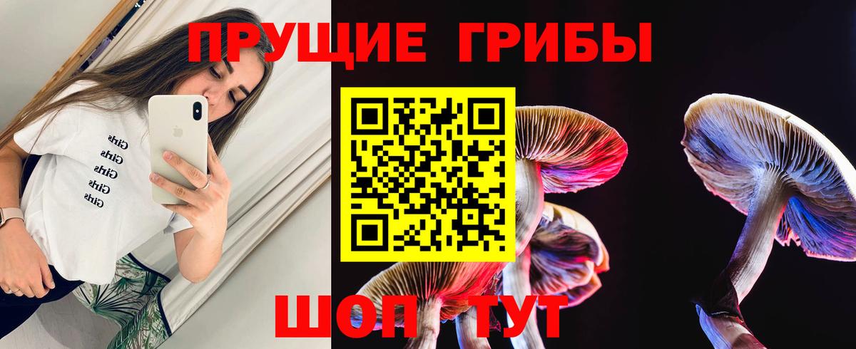 Пенза  Псилоцибиновые грибы Cubensis  Вход с VPN 